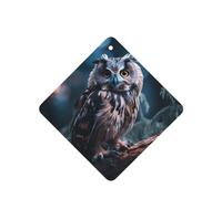 Poezjzw Square Lavender Scent Car Air Fresheners Owl Listening Pattern 6 Pcs Aromatherapy Tablets For Wardrobe Shoe
