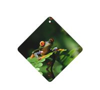 Poezjzw Square Lavender Scent Car Air Fresheners Peace Frog Tree Pattern 6 Pcs Aromatherapy Tablets For Wardrobe Shoe Cabinet Eliminate