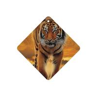 Poezjzw Square Lavender Scent Car Air Fresheners Rising Sun Tiger Pattern 6 Pcs Aromatherapy Tablets For Wardrobe Shoe Cabinet Eliminate