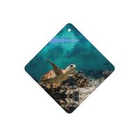 Poezjzw Square Lavender Scent Car Air Fresheners Sea Turtle Pattern 6 Pcs Aromatherapy Tablets For Wardrobe Shoe Cabinet Eliminate