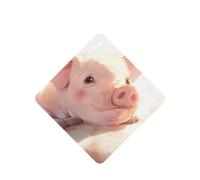 Poezjzw Square Lavender Scent Car Air Fresheners The Pigs Are Looking. Pattern 6 Pcs Aromatherapy Tablets For Wardrobe Shoe