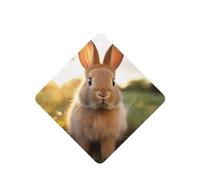 Poezjzw Square Lavender Scent Car Air Fresheners White-Eared Rabbit Pattern 4 Pcs Aromatherapy Tablets For Wardrobe Shoe