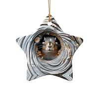 Poezjzw Squirrel Looking Pattern Ceramic Christmas Ornament Star Shape Hanging Pendant Gifts For Xmas Holidays, Ornaments For Home Decor