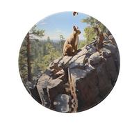 POEZJZW Squirrel On Rock Pattern Round Mouse Mat, Cute Mouse Pad, Non-Slip Rubber Base With Stitched Edge, Small Size 7.9 X 7.9 Inch
