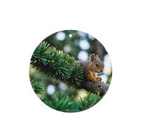 Poezjzw Squirrel Picking Pattern Car Air Fresheners 6 Pcs Round Shape Hanging Aromatherapy Tablets Scented Fresheners For Bedroom Closet Shoe
