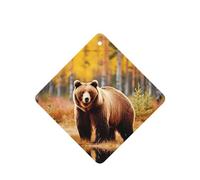 Poezjzw Strong Brown Bear Pattern Car Air Fresheners 4 Pcs Square Hanging Aromatherapy Tablets Scented Fresheners For Bedroom Closet Shoe