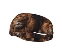 Poezjzw The Lion'S Gaze Pattern Sports Headband Suitable For Running Yoga Elasticated Moisture Wicking Hairband