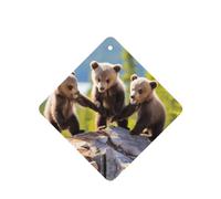 Poezjzw Three Bears Playing Pattern Car Air Fresheners 4 Pcs Square Hanging Aromatherapy Tablets Scented Fresheners For Bedroom Closet Shoe