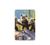 Poezjzw Three Bears Playing Pattern Car Air Fresheners 6 Pcs Rectangle Hanging Aromatherapy Tablets Scented Fresheners For Bedroom Closet Shoe