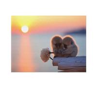 POEZJZW Thumb Monkey Playing Pattern Flannel Blanket 80"X60" Bed Blankets For Sofa Bed Couch, Movie Night, Camping, And Travel