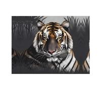 POEZJZW Tiger at Rest Pattern Flannel Blanket 80"X60" Blanket for Super Soft Plush for Sofa Bed Couch Camping, and Travel