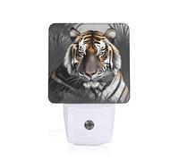 POEZJZW Tiger at Rest Pattern Led Night Light Plug Into Wall with Dusk to Dawn Sensors, Warm for Bedroom Bathroom Hallway Kitchen