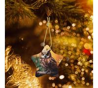 Poezjzw Tree Branch Brown Owl Pattern Ceramic Christmas Ornament Star Hanging Pendant Gifts For Xmas Holidays, Ornaments For Home Decor