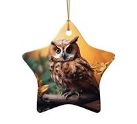 Poezjzw Tree Branch Brown Owl Pattern Ceramic Christmas Ornament Star Shape Hanging Pendant Gifts For Xmas Holidays, Ornaments For Home Decor