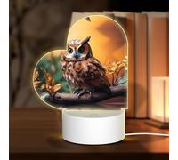 POEZJZW Tree Branch Brown Owl Pattern Heart Shape Acrylic Night Light with USB Cable Adjustable 3 Colors for Restaurant Bar Cafe