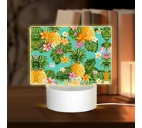 POEZJZW Tropical Fruit Pineapple Pattern Rectangular Acrylic Night Light Touch Switch Accent for Bookshelves Desks Nightstands