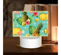 POEZJZW Tropical Pineapple Pattern Rectangular Acrylic Night Light Touch Switch Accent for Bookshelves Desks Nightstands