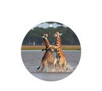 Poezjzw Two Giraffes Fighting Pattern Car Air Fresheners 6 Pcs Round Shape Hanging Aromatherapy Tablets Scented Fresheners For Bedroom Closet Shoe