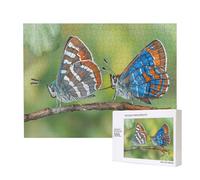 Poezjzw Two Moths Classic Jigsaw 500 Pieces Wooden Puzzle Modern Home Decor Intellectual Game 38x 52cm