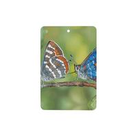 Poezjzw Two Moths Pattern Car Air Fresheners 4 Pcs Rectangle Hanging Aromatherapy Tablets Scented Fresheners For Bedroom Closet Shoe