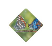 Poezjzw Two Moths Pattern Car Air Fresheners 4 Pcs Square Hanging Aromatherapy Tablets Scented Fresheners For Bedroom Closet Shoe