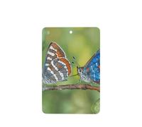 Poezjzw Two Moths Pattern Car Air Fresheners 6 Pcs Rectangle Hanging Aromatherapy Tablets Scented Fresheners For Bedroom Closet Shoe