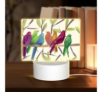 POEZJZW Watercolor Bird Pattern Led Lamp Base Night Light Acrylic USB 3 Mode for Room Cafe Bar Birthday Party