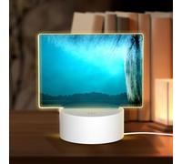 POEZJZW Waterfront Willow Pattern Rectangle Acrylic Night Light with USB Cable Adjustable 3 Colors for Restaurant Bar Cafe