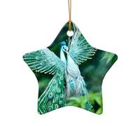 Poezjzw White Peacock Pattern Ceramic Christmas Ornament Star Shape Hanging Pendant Gifts For Xmas Holidays, Ornaments For Home Decor