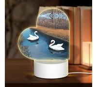 POEZJZW White Swan Swimming Pattern Heart Shape Acrylic Night Light with USB Cable Adjustable 3 Colors for Restaurant Bar Cafe