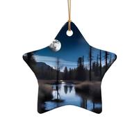 Poezjzw Wild Moon Pattern Ceramic Christmas Ornament Star Shape Hanging Pendant Gifts For Xmas Holidays, Ornaments For Home Decor
