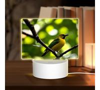 POEZJZW Yellow Bluebird Pattern Rectangle Acrylic Night Light with USB Cable Adjustable 3 Colors for Restaurant Bar Cafe