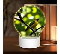 POEZJZW Yellow Bluebird Pattern Round Acrylic Night Light with USB Cable Adjustable 3 Colors for Restaurant Bar Cafe