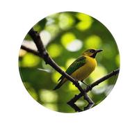 POEZJZW Yellow Bluebird Pattern Round Mouse Mat, Cute Mouse Pad, Non-Slip Rubber Base With Stitched Edge, Small Size 7.9 X 7.9 Inch