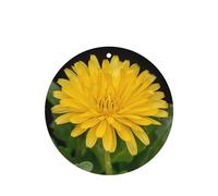 Poezjzw Yellow Daisy Pattern Car Air Fresheners 4 Pcs Round Shape Hanging Aromatherapy Tablets Scented Fresheners For Bedroom Closet Shoe