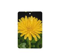 Poezjzw Yellow Daisy Pattern Car Air Fresheners 6 Pcs Rectangle Hanging Aromatherapy Tablets Scented Fresheners For Bedroom Closet Shoe