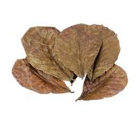 POFET 10pcs Catappa indian almond leaves ketapang leaf shrimp betta fish aquarium care Lower pH for Aquarium Fish Tank Use