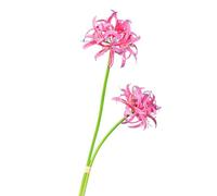 pofluany Indoor Fake Flower 2pcs Artificial Red Spider Lily Realistic Fake Silk Flower Wedding Home Office Table Centerpiece Faux Floral Branch Flower Arrangement Decoration Pink Purple