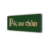 Póg mo thóin Sign, Irish Humour, Celtic knot sign, Dibond Aluminum Composite, Irish Luck Green, Weatherproof and Waterproof, Pre Drilled Holes (Green, 610mm X 203mm)