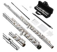 POGOLAB Flute, 16 Keys Open-Hole C Flute, Student Flute with Offset-G, Silver Plated Flute with Flute Case/Flute Cleaning Kit/Probe Rod/Gloves/Grease, for Advanced Player