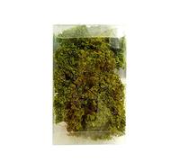 POHOVE Grass Tufts Sand Table Set, DIY Miniature Shrubs Bushes Foliage Tree, Static Wargame Scenery Model, For Wargame Layout Sand Table Wargaming Terrain Decoration