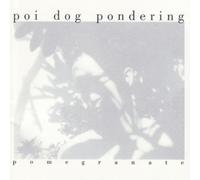 Poi Dog Pondering - pomegranate