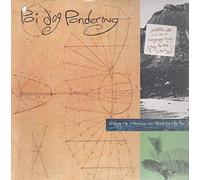 Poi Dog Pondering - Wishing Like A Mountain And Thinking Like The Sea [Vinyl LP]
