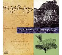 Poi Dog Pondering - Wishing Like a Mountain & Thin