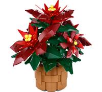 Poinsettia