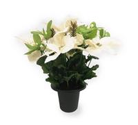 Poinsettia & Mistletoe Grave Pot - Cream