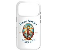 Point Amour Lighthouse Labrador Case for iPhone 17 Pro