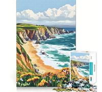 Point Reyes National Seashore California 1000 Piece Jigsaw Puzzles for Adults Smart Reason Toy Quiet Fun Smooth Edge Festival Gift (50x75cm)
