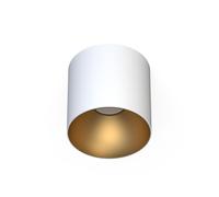 SPOT POINT TONE WHITE/GOLD 8221