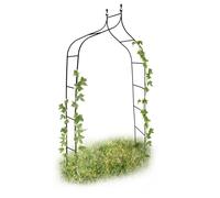 Pointed Rose Arch Metal Trellis Garden Arbour Climbing Plant Support Flowers Ivy